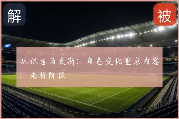 认识吉马良斯:角色变化重点内容:老将阶段