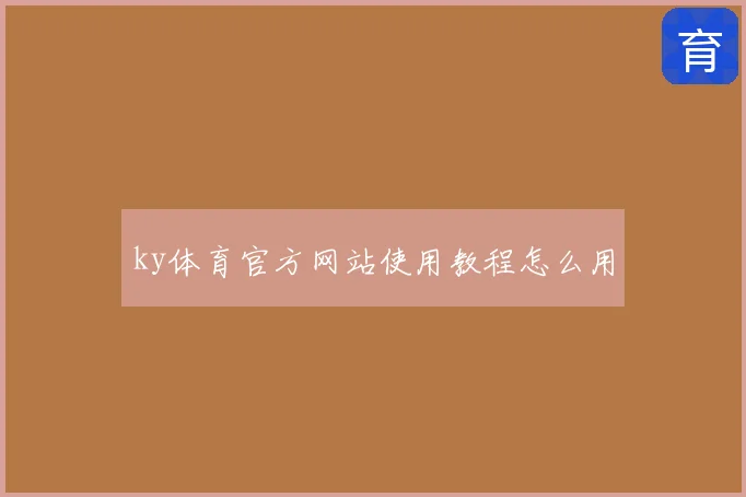ky体育官方网站使用教程怎么用